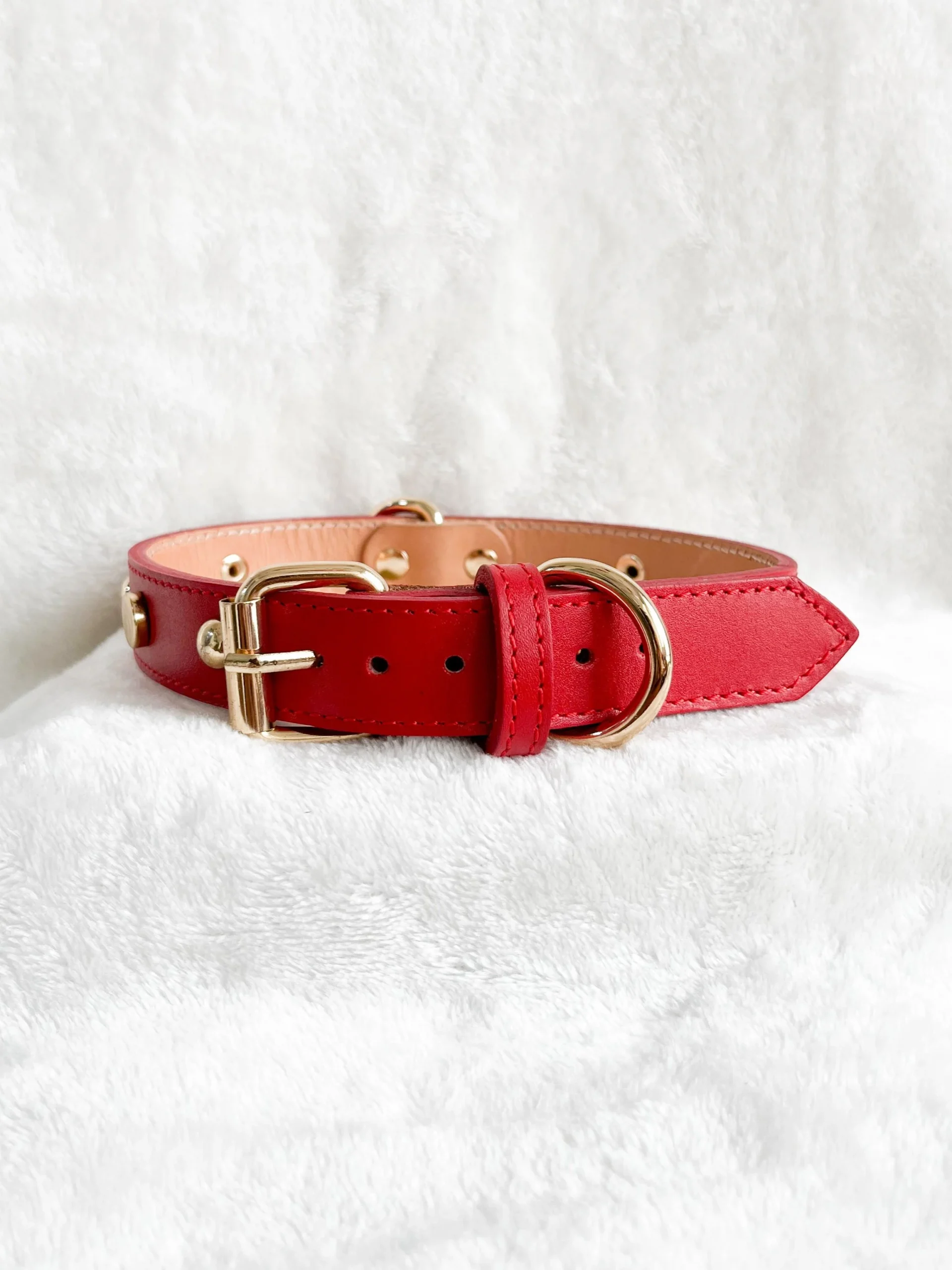 COLLAR Rojo + PLACA - Imagen 4