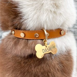 COLLAR Camel + PLACA