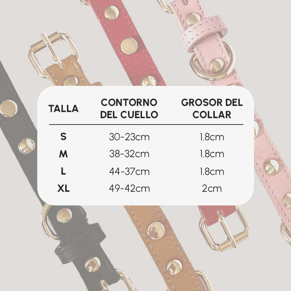 COLLAR Rojo + PLACA - Imagen 5