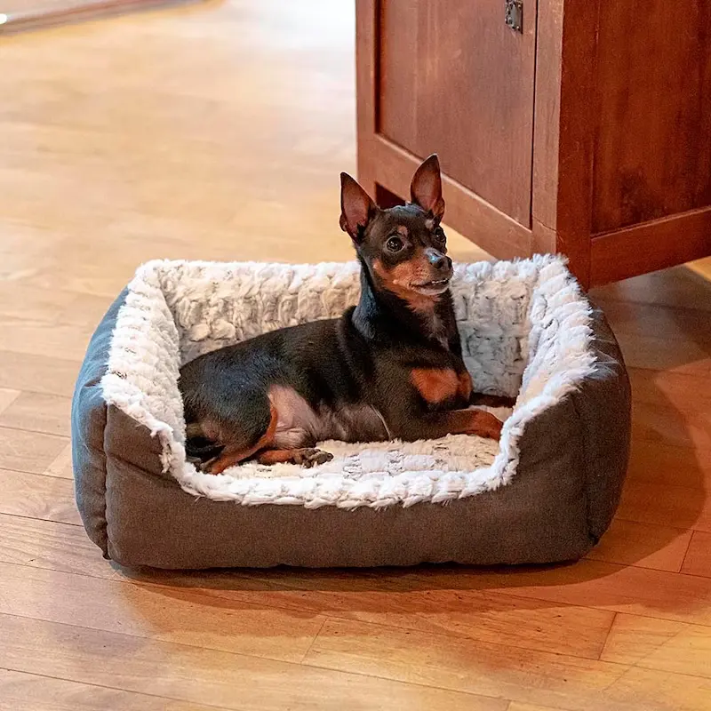 Sofa Sweetie para perros y gatos 48 x37 x16 cm