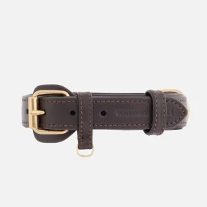 Collar de cuero para perros Tierra (Marrón)