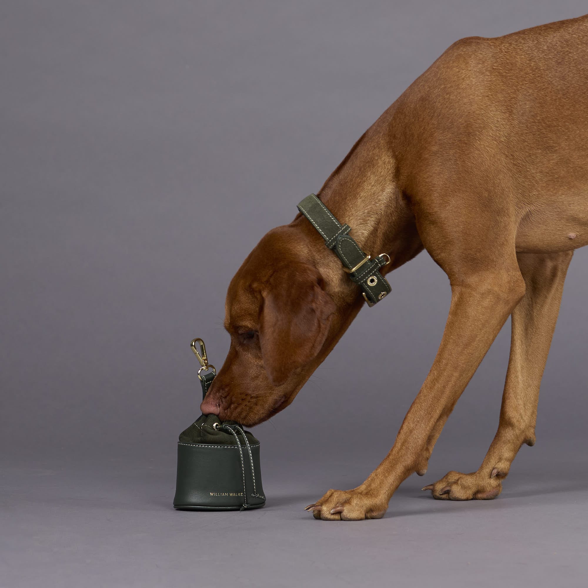 Collar de perro de ante Forest (verde) - Imagen 9