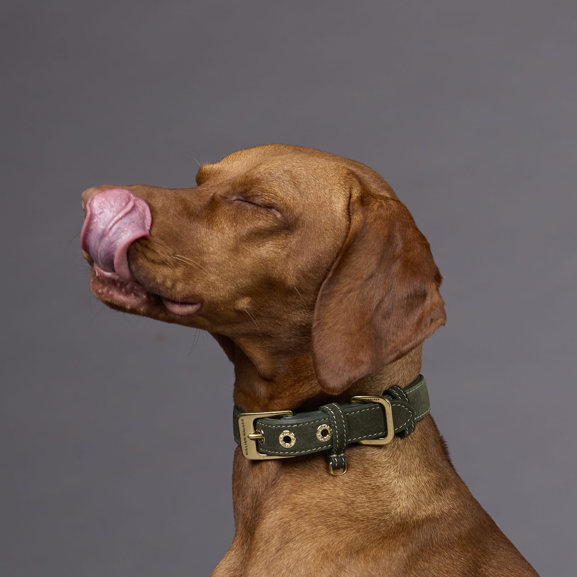 Collar de perro de ante Forest (verde) - Imagen 7