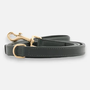 Correa para perro Dark Moss