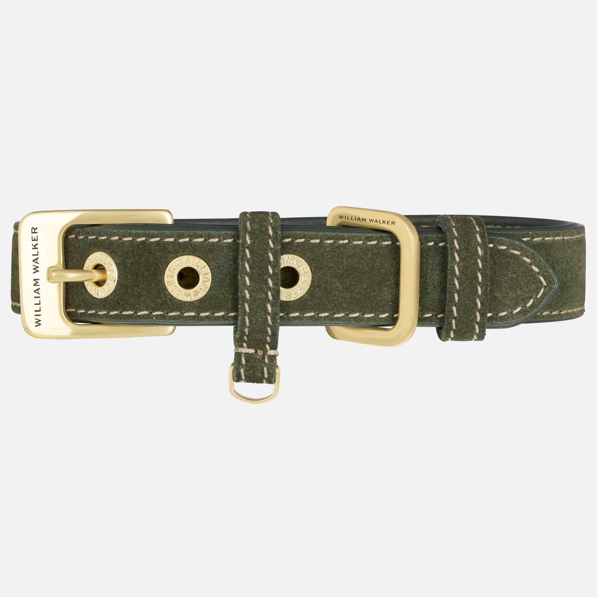 Collar de perro de ante Forest (verde)
