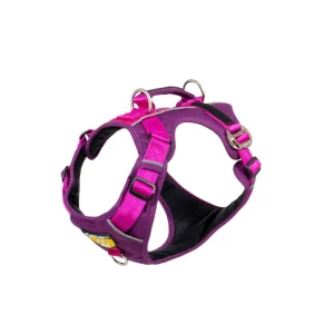 Arnés D-Mountain Felcan para Perros