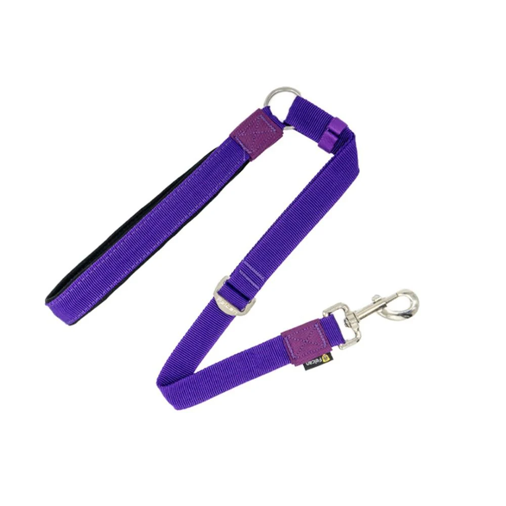 Correa Walker Felcan para Perros - Imagen 2