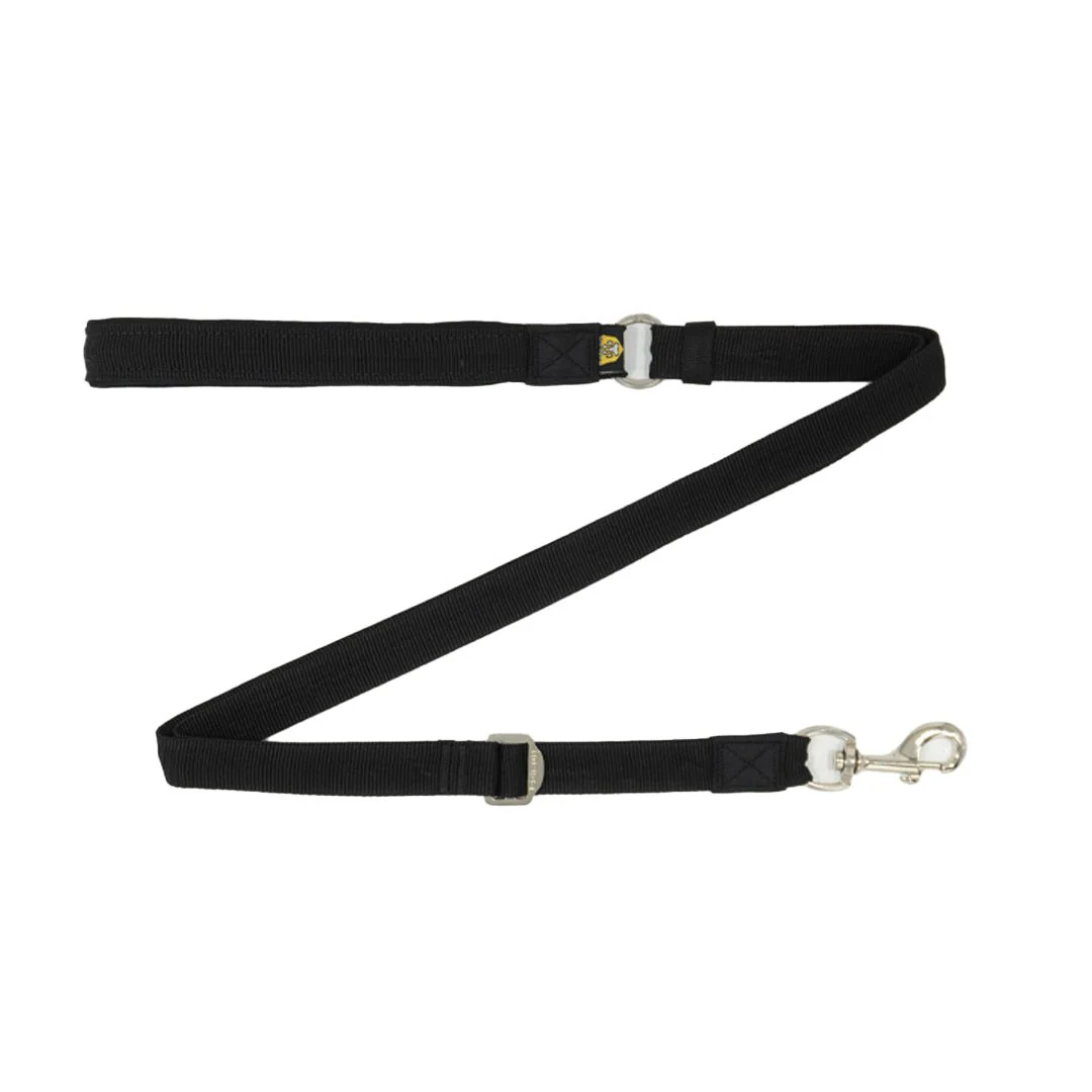 Correa Walker Felcan para Perros