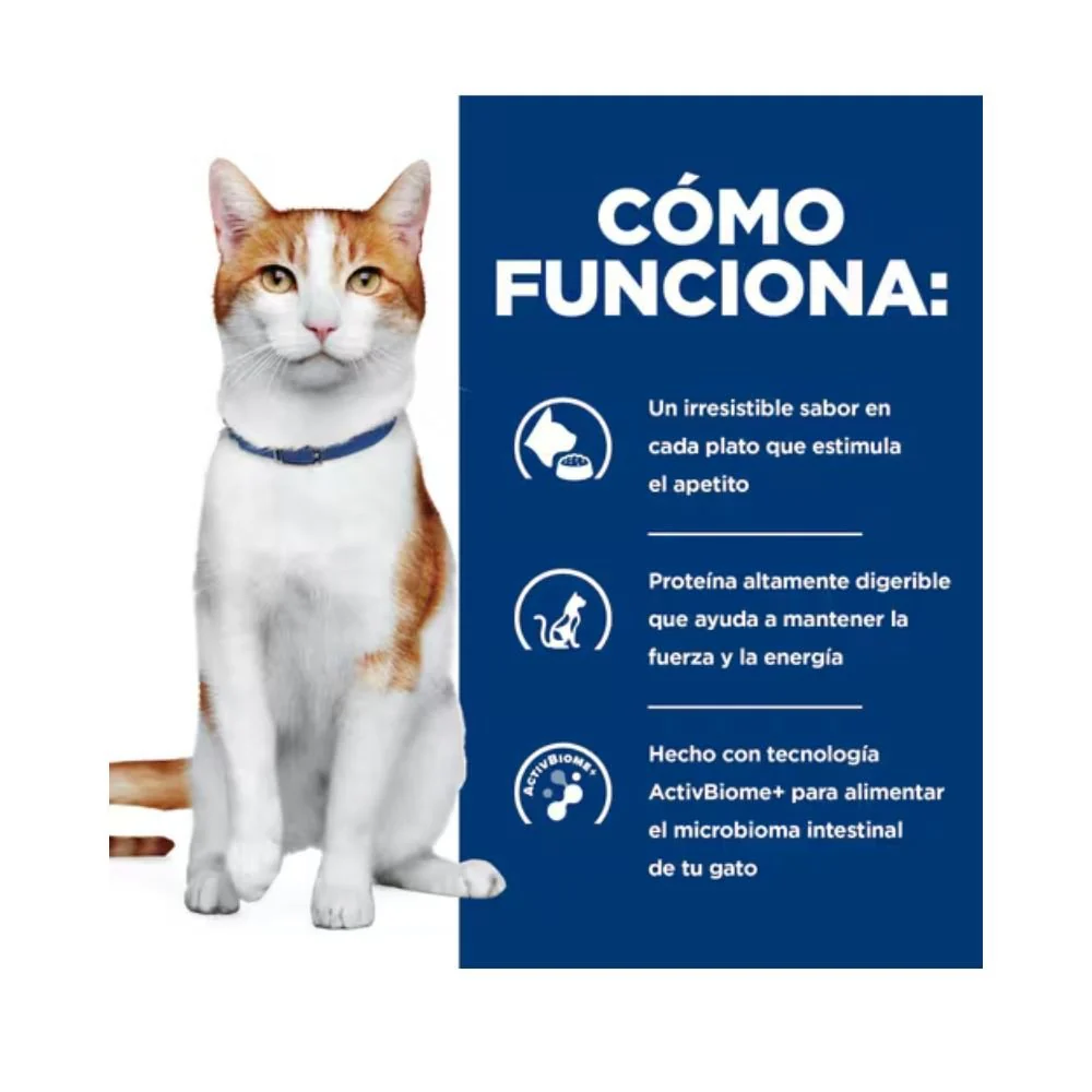 Hill's Prescription Diet ONC Care Gatos - Imagen 4