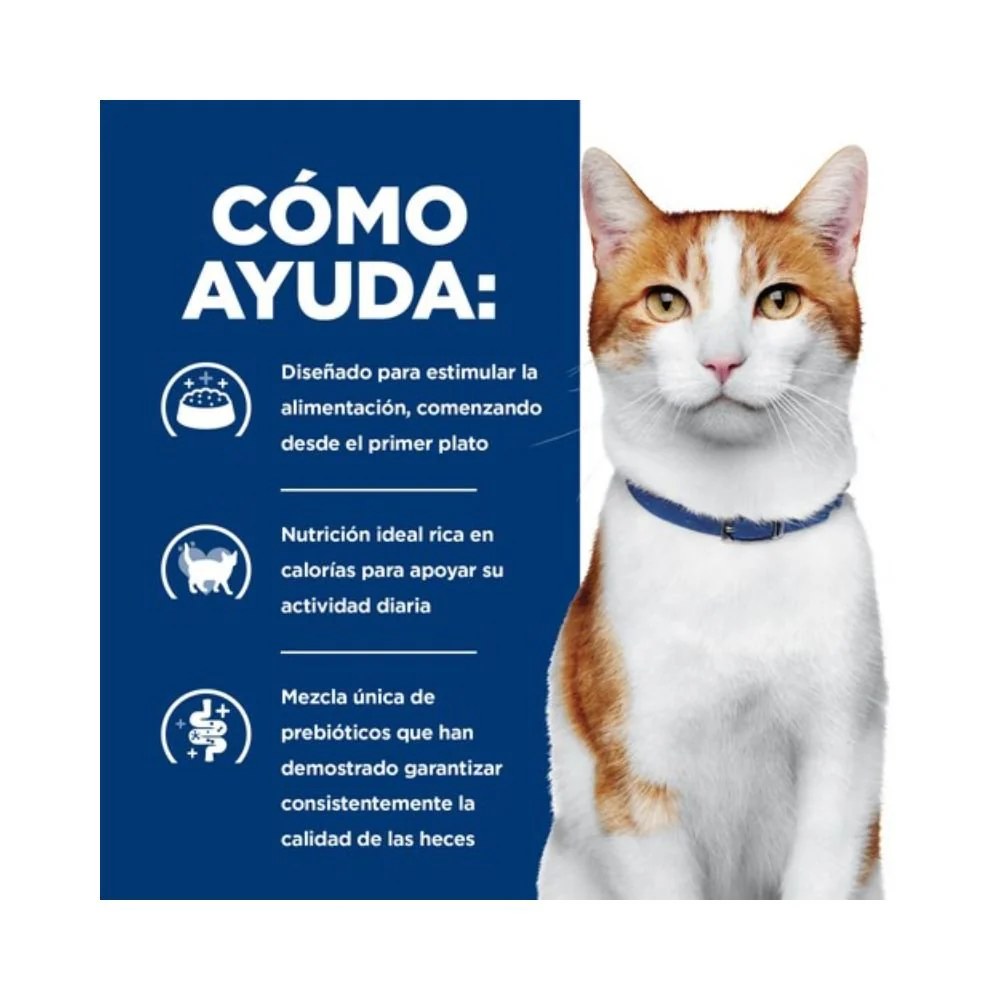 Hill's Prescription Diet ONC Care Gatos - Imagen 6