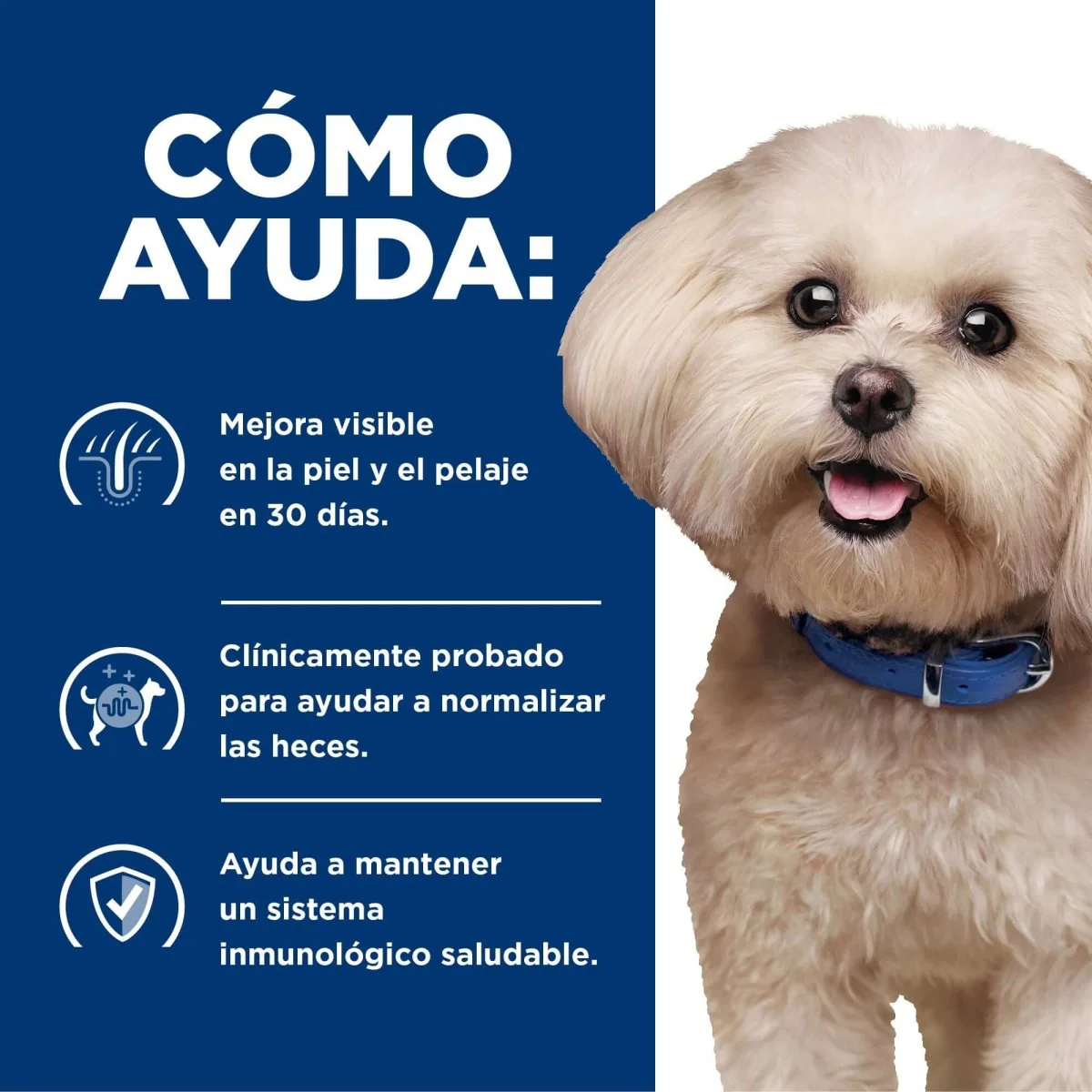 Hill's Prescription Diet Food Sensitives z/d Perros - Imagen 7