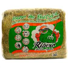 Ribero Heno de Festuca 10KG