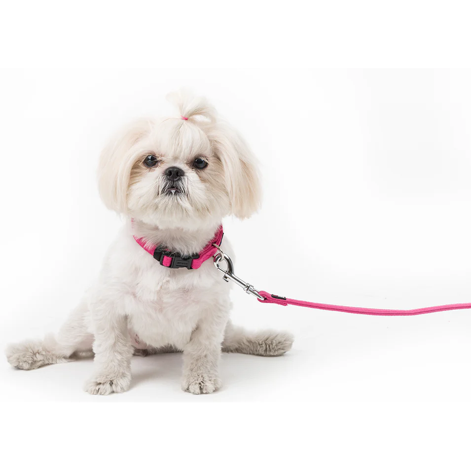 Collar de Microfibra - Chico - Imagen 5