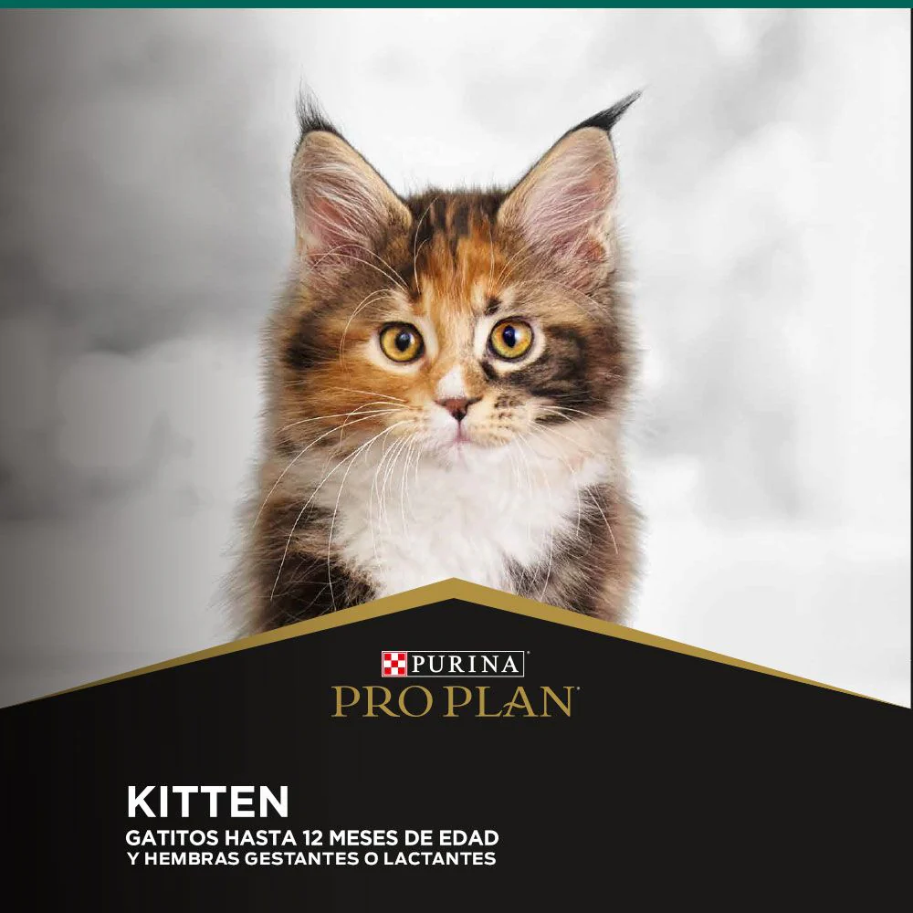 Pro Plan Gaticos - Imagen 3