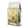 PSITTACUS PAPILLA MINI 5kg