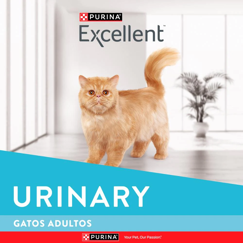 Purina Excellent Urinary Gatos Adultos - Imagen 3