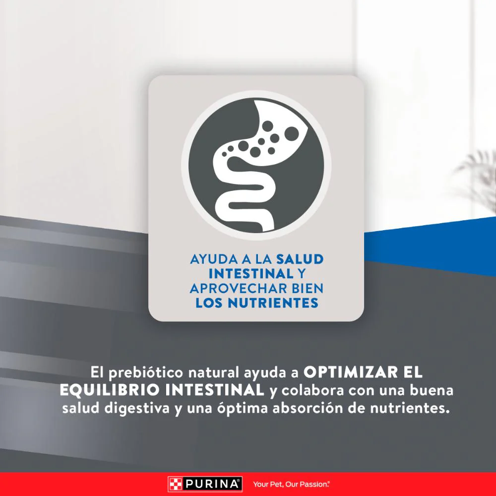 Purina Excellent Urinary Gatos Adultos - Imagen 6