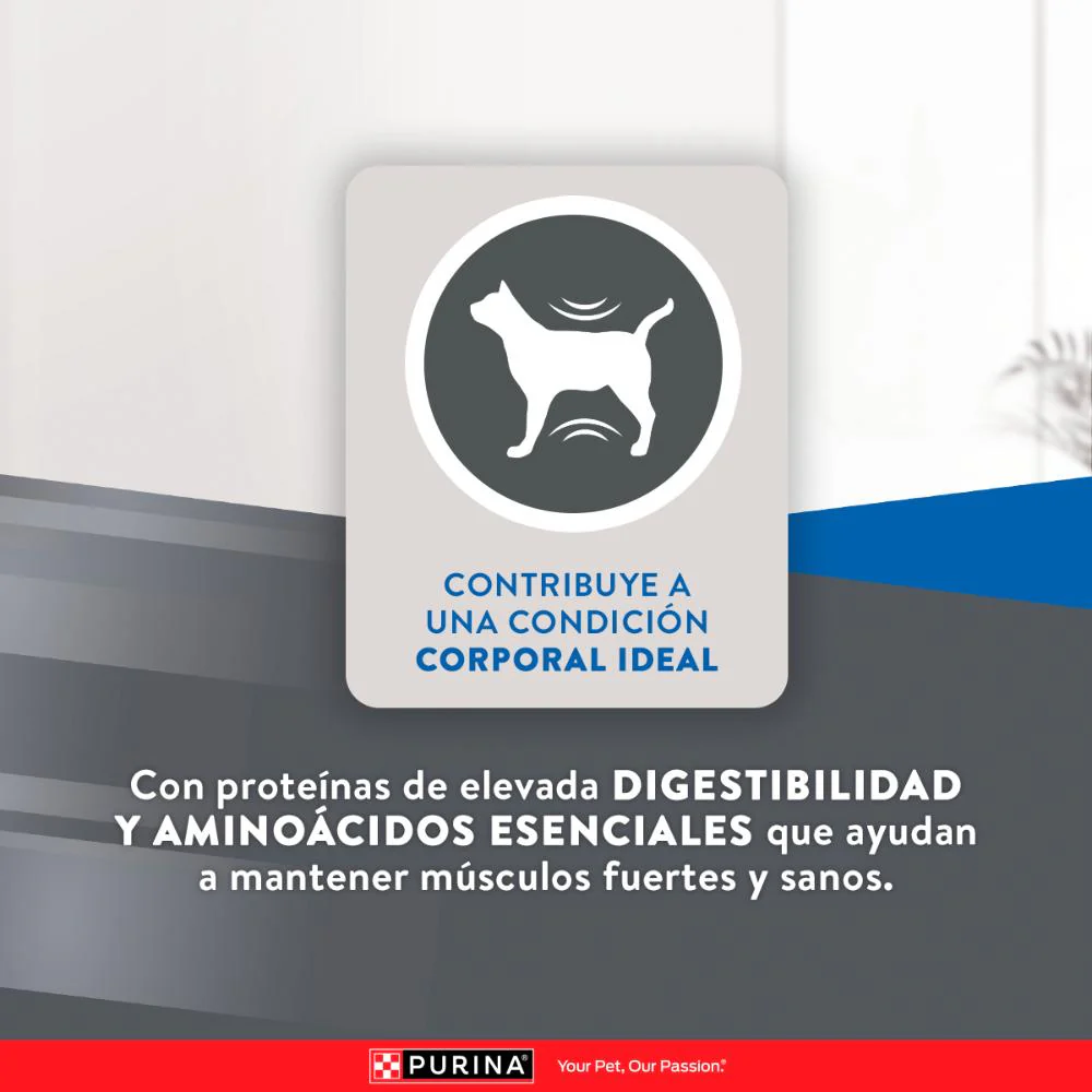 Purina Excellent Urinary Gatos Adultos - Imagen 5