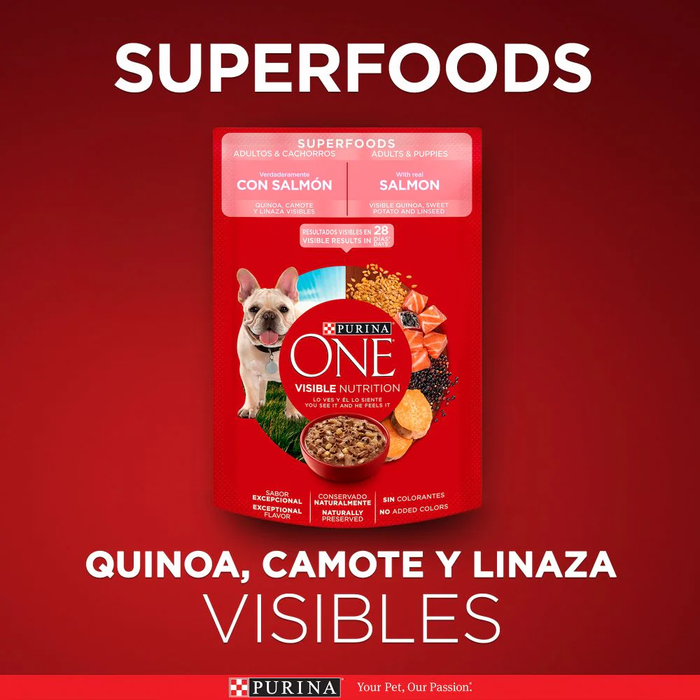 Purina One Superfoods Cachorros y Perros Adultos Salmón - Imagen 3