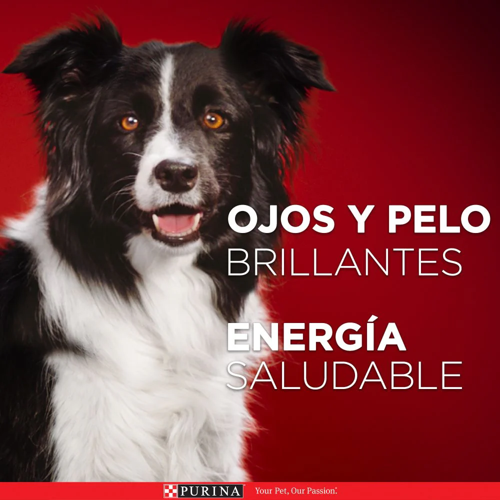 Purina One Superfoods Cachorros y Perros Adultos Salmón - Imagen 6