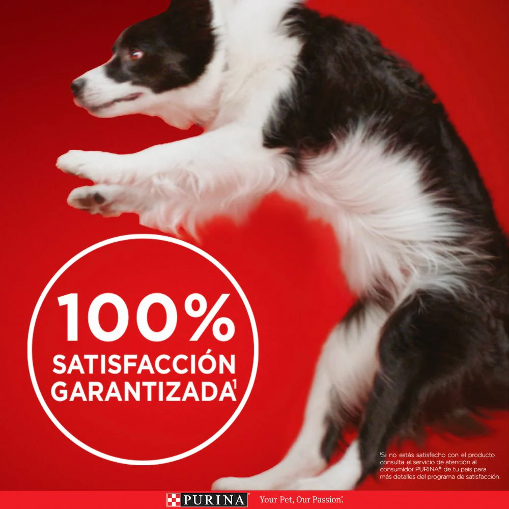 Purina One Superfoods Cachorros y Perros Adultos Salmón - Imagen 7